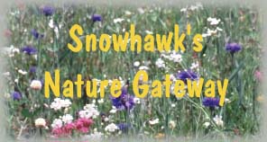 Snowhawk's Nature Gateway -- link to site directory