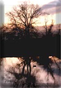 pond sunset photo copyright by E.C. Gruhler